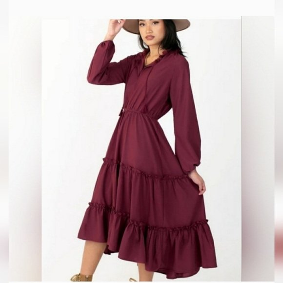 Joyfolie Dresses & Skirts - Joyfolie Burgandy Ashley Dress EUC